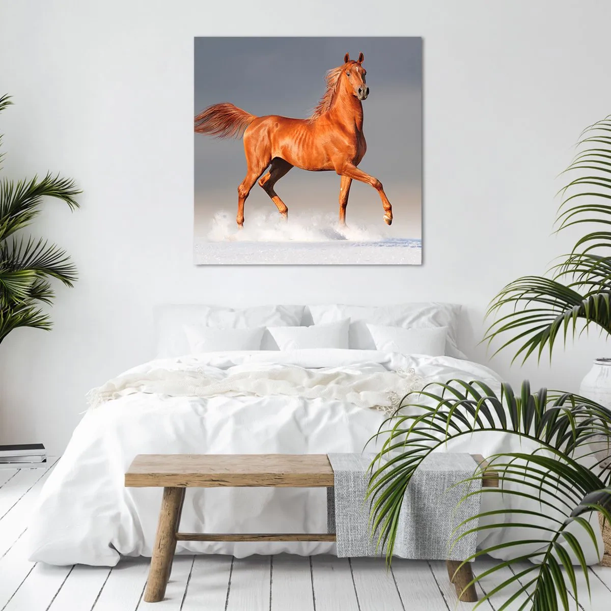 Cuadro sobre lienzo - Impresión de Imagen - Danza al viento - 40x40 cm