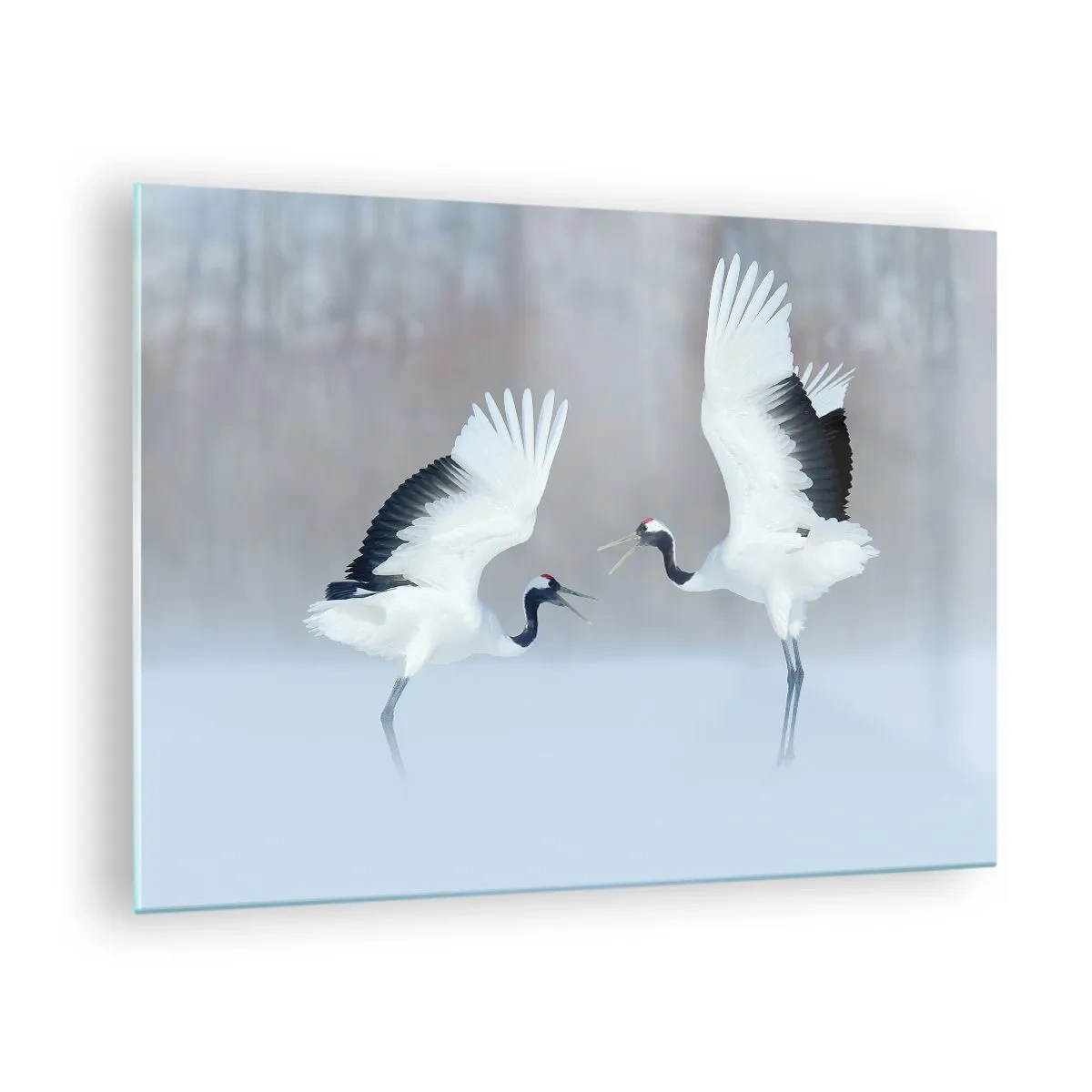 Cuadro sobre vidrio - Impresiones sobre Vidrio - Grullas danzantes con el telón de fondo de un paisaje invernal - 70x50cm - Danza en la niebla - Decoración de pared moderna para salón y dormitorio ARTTOR