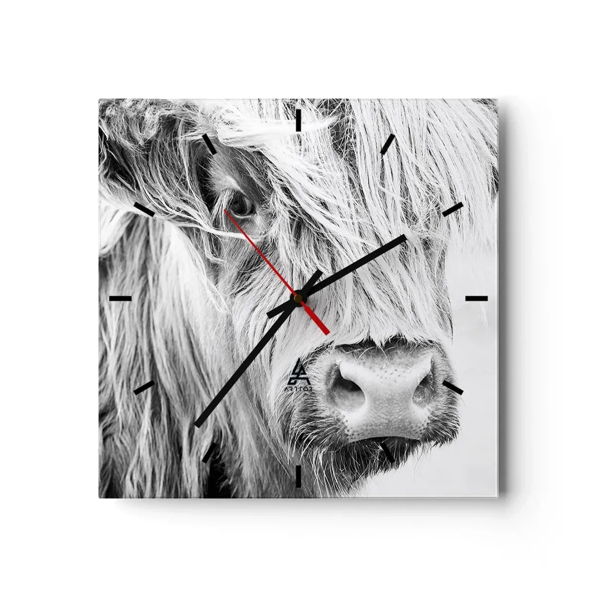 Reloj de pared - Reloj de vidrio - Retrato de una vaca escocesa en blanco y negro - 30x30cm - La naturaleza escocesa - Decoración de pared moderna para salón y dormitorio ARTTOR
