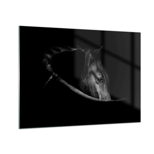 Cuadro sobre vidrio - Impresiones sobre Vidrio - Perfil de un caballo negro en la sombra con un ojo visible - 70x50cm - Príncipe negro - Decoración de pared moderna para salón y dormitorio ARTTOR