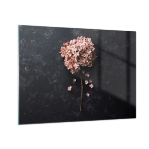 Cuadro sobre vidrio - Impresiones sobre Vidrio - Hortensia seca con pétalos dispersos sobre un fondo oscuro. - 70x50cm - Un signo verdaderamente romántico - Decoración de pared moderna para salón y dormitorio ARTTOR