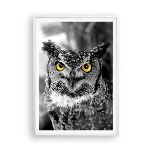 Póster en marco blanco - Nada se puede ocultar - 70x100 cm