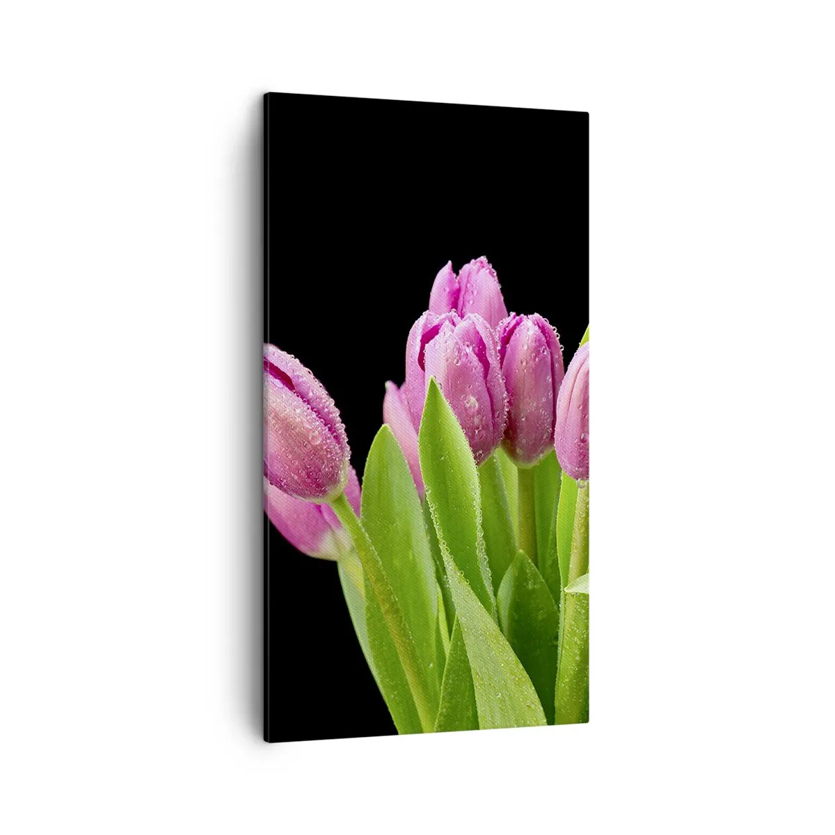 Cuadro sobre lienzo - Impresión de Imagen - La alegría de la primavera - 45x80 cm