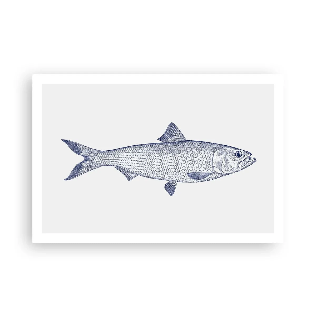 Póster - Saludos desde los mares del norte - 91x61 cm