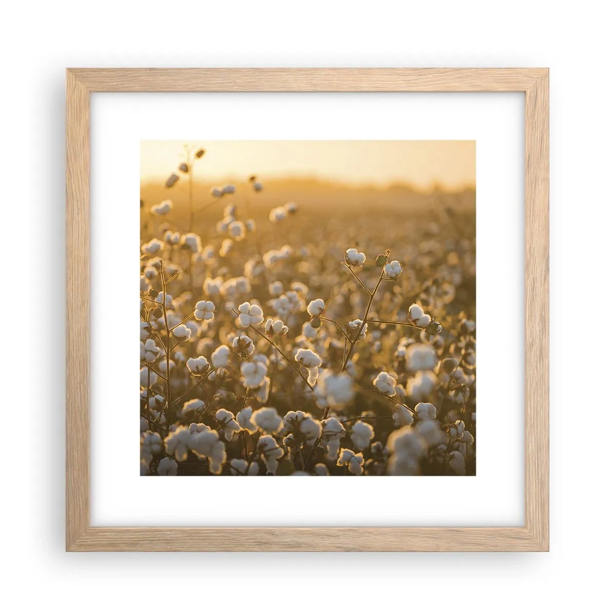 Póster en marco roble claro - Un campo esponjoso - 30x30 cm