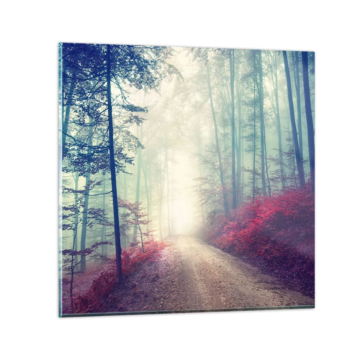 Cuadro sobre vidrio - Impresiones sobre Vidrio - Qué bueno es levantarse al amanecer - 60x60 cm