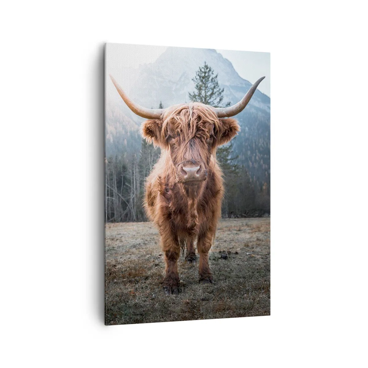 Cuadro sobre lienzo - Impresión de Imagen - Saludos desde un prado de montaña - 80x120 cm