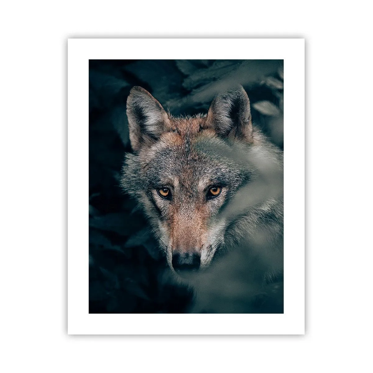 Póster - Cazador - 40x50 cm