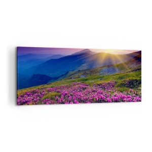 Cuadro sobre lienzo - Impresión de Imagen - Un prado florido con vistas a las montañas durante la puesta de sol. - 120x50cm - ... Y el aroma a hierbas está por todas partes - Decoración de pared moderna para salón y dormitorio ARTTOR