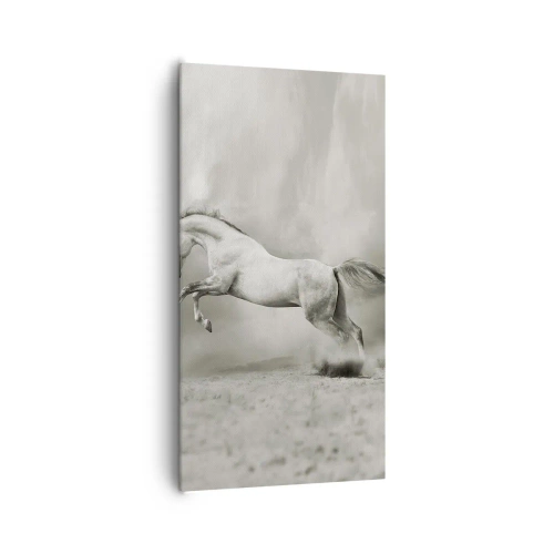 Cuadro sobre lienzo - Impresión de Imagen - Entre la realidad y el sueño - 65x120 cm