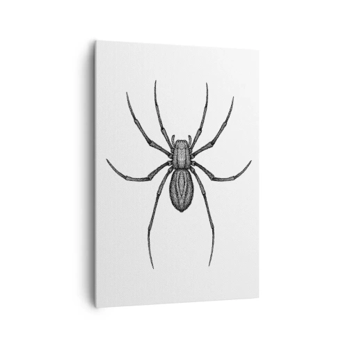 Cuadro sobre lienzo - Impresión de Imagen - Detalle de una araña sobre un fondo blanco en estilo de dibujos animados. - 70x100cm - Precisión inquietante - Decoración de pared moderna para salón y dormitorio ARTTOR