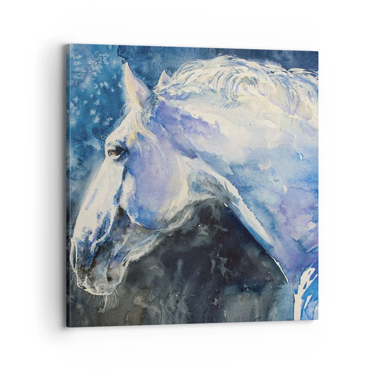 Cuadro sobre lienzo - Impresión de Imagen - Retrato en un resplandor azul - 70x70 cm