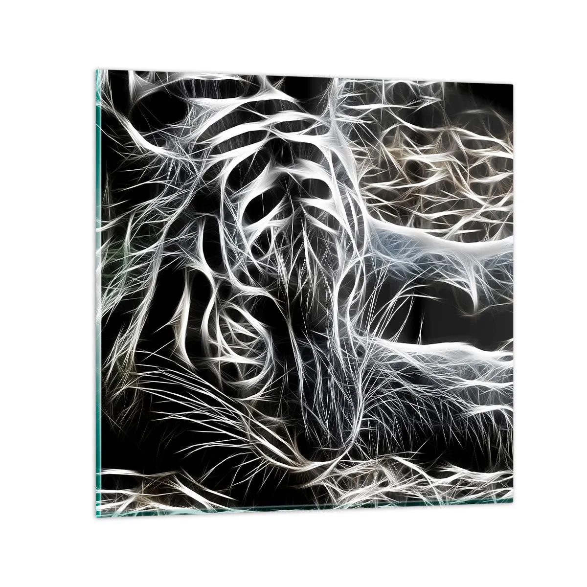 Cuadro sobre vidrio - Impresiones sobre Vidrio - Un estudio sobre la ligereza felina - 70x70 cm