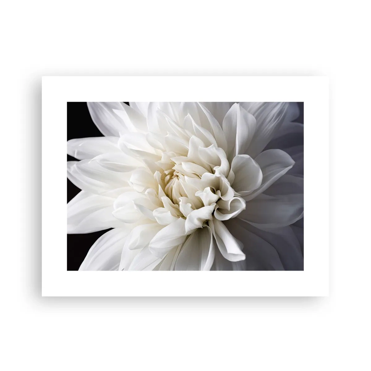 Póster - La novia de la mañana - 40x30 cm