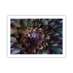 Póster - El florecimiento de la hermosura - 70x50 cm