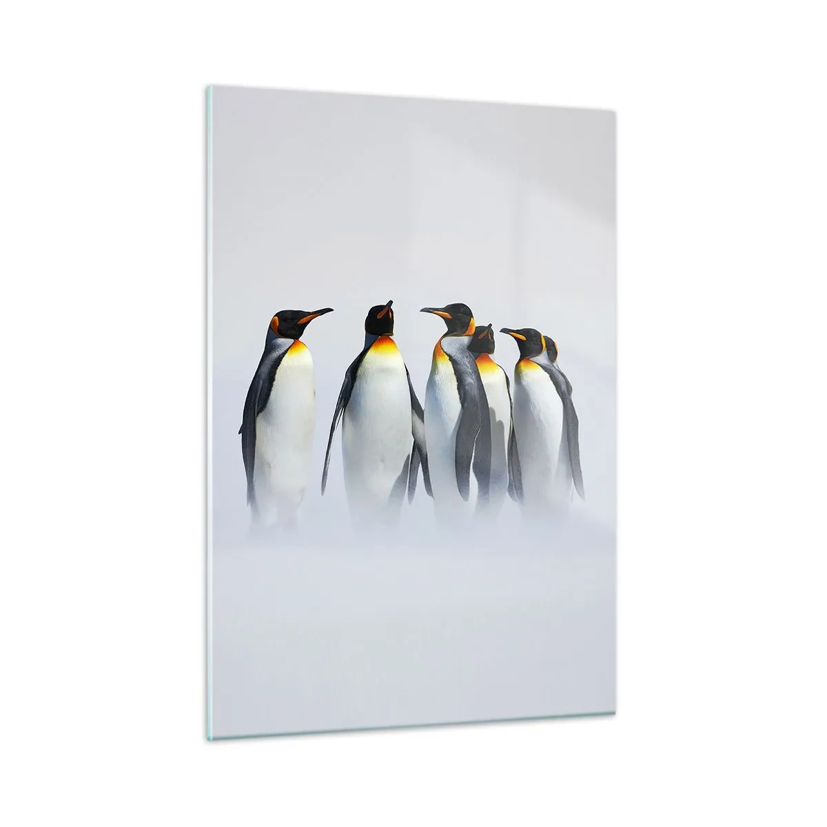 Cuadro sobre vidrio - Impresiones sobre Vidrio - Un grupo de pingüinos en un paisaje invernal. - 50x70cm - Reunión en traje de noche - Decoración de pared moderna para salón y dormitorio ARTTOR