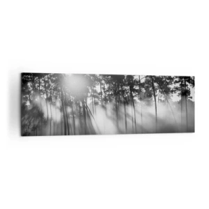 Cuadro sobre lienzo - Impresión de Imagen - Bosque blanco y negro en la niebla de la mañana. - 160x50cm - Sol imparable - Decoración de pared moderna para salón y dormitorio ARTTOR