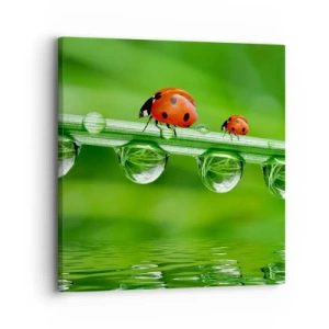 Cuadro sobre lienzo - Impresión de Imagen - En el camino todo el verano - 30x30 cm