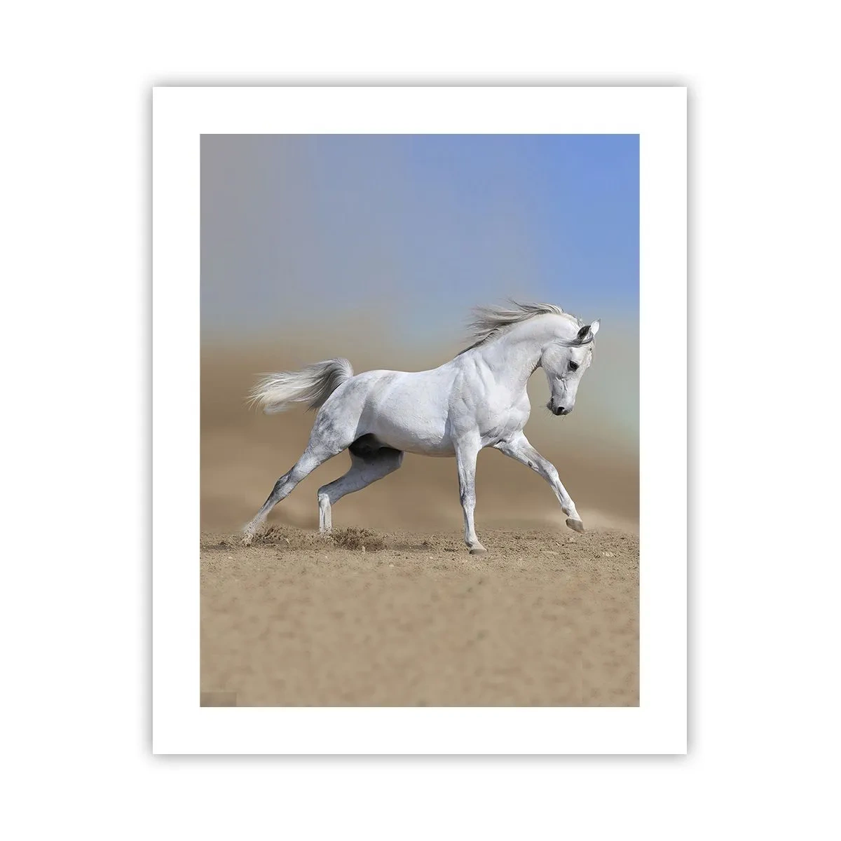 Póster - El más bello cuento de hadas árabe - 40x50 cm
