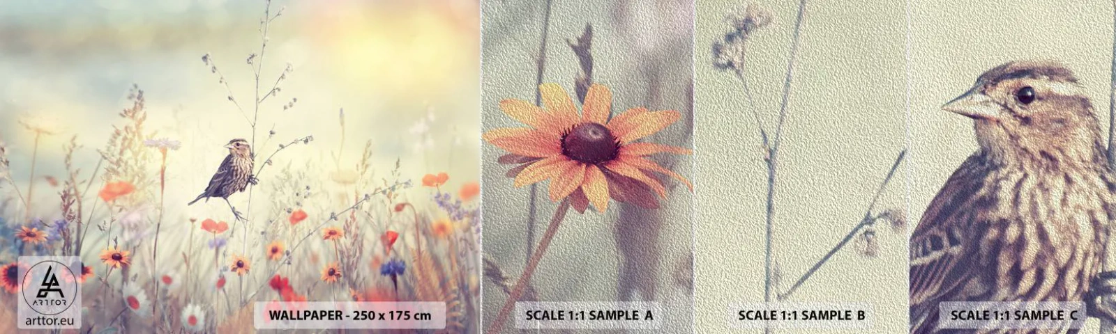 Muestra de fotomural Premium Sand - Retrato de pájaro con prado de fondo - Pájaro, Prado, Naturaleza - 100x30 cm