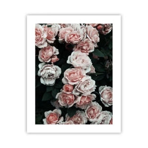 Póster - Conjunto de rosas - 40x50 cm