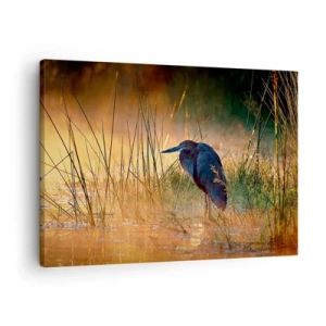 Cuadro sobre lienzo - Impresión de Imagen - Una garza en los humedales al atardecer entre hierbas altas. - 70x50cm - Dame un respiro con estas fotos - Decoración de pared moderna para salón y dormitorio ARTTOR