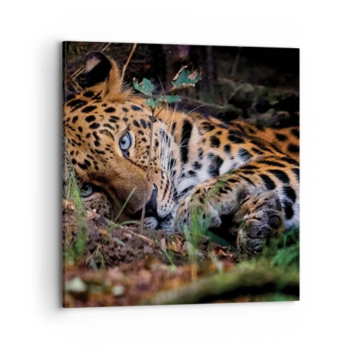 Cuadro sobre lienzo - Impresión de Imagen - Confía en mí - 70x70 cm