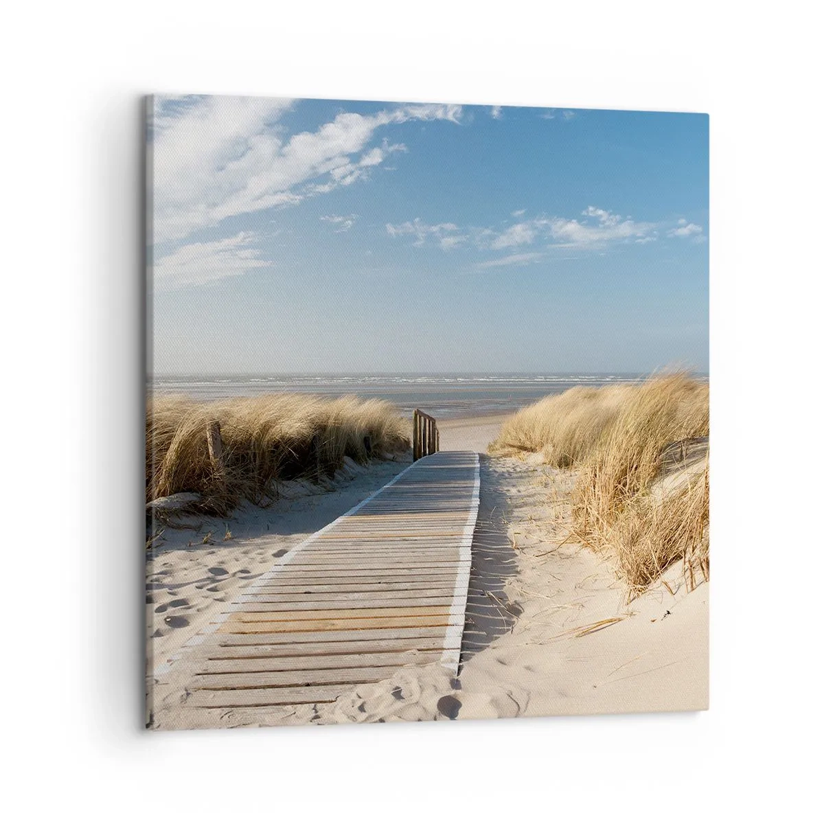Cuadro sobre lienzo - Impresión de Imagen - Más allá de la duna, en el susurro de la naturaleza - 50x50 cm