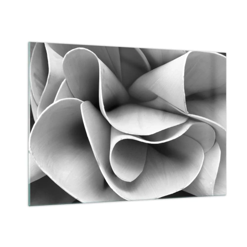 Cuadro sobre vidrio - Impresiones sobre Vidrio - Primer plano en blanco y negro de formas espirales abstractas - 100x70cm - Sucede en el espacio - Decoración de pared moderna para salón y dormitorio ARTTOR
