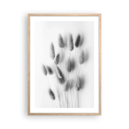 Póster en marco roble claro - Esponjas naturales - 50x70 cm