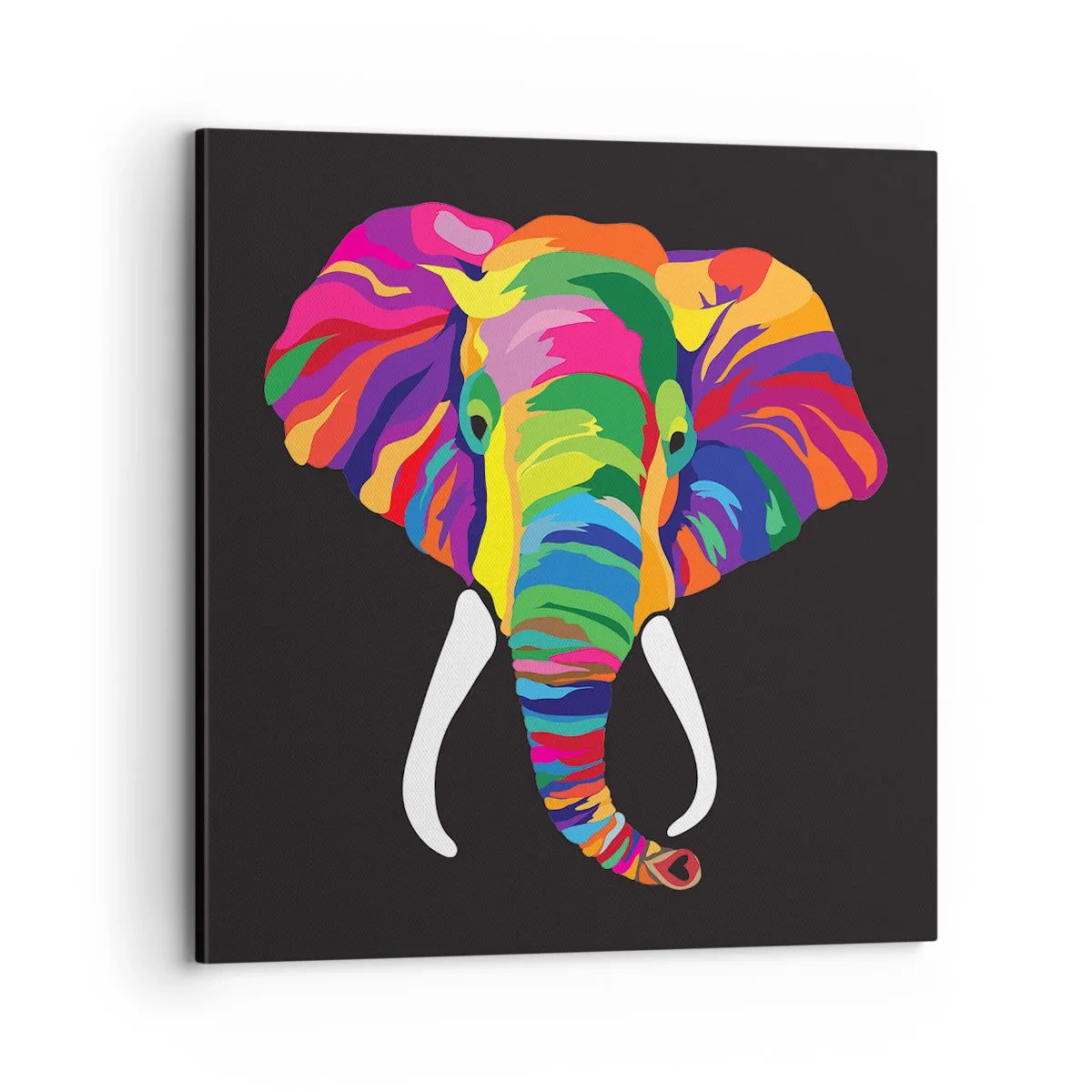 Cuadro sobre lienzo - Impresión de Imagen - El elefante al que le gustaba bañarse en el arco iris - 70x70 cm