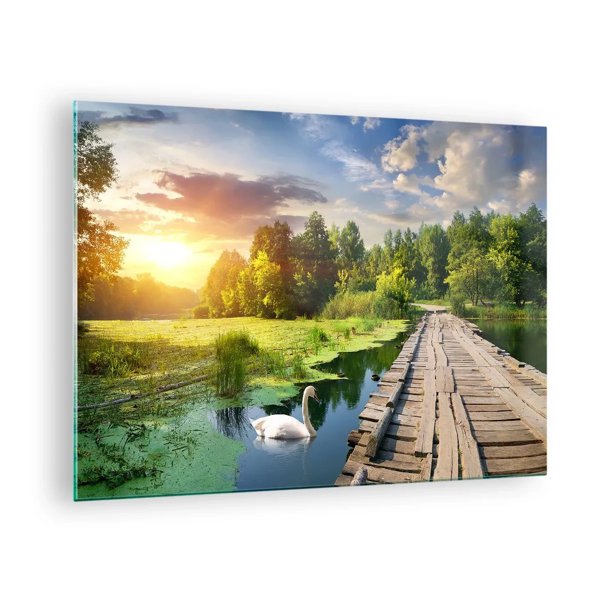 Cuadro sobre vidrio - Impresiones sobre Vidrio - Muelle de madera sobre un lago con un cisne al atardecer - 70x50cm - Verano, verano en todas partes - Decoración de pared moderna para salón y dormitorio ARTTOR