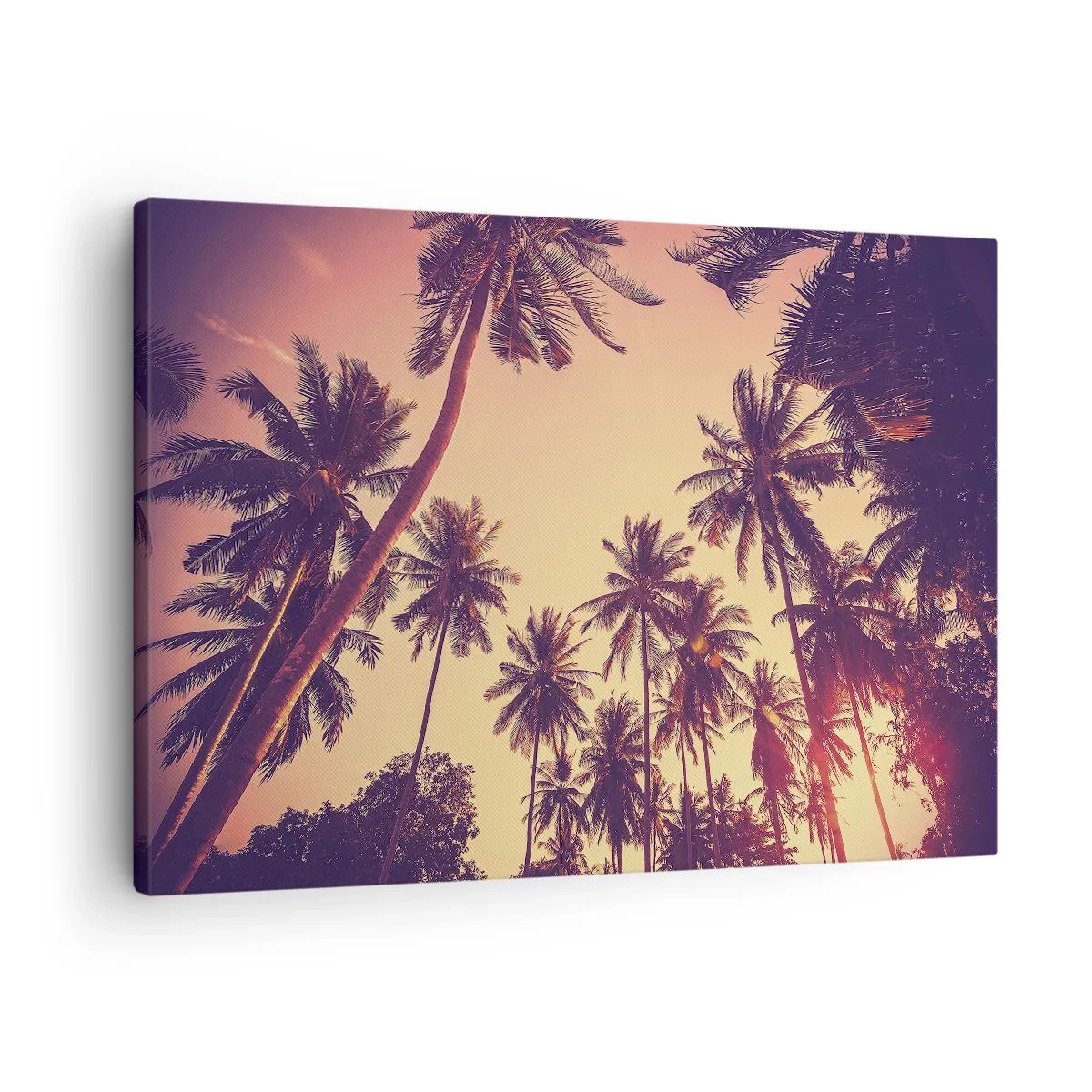 Cuadro sobre lienzo - Impresión de Imagen - Palmeras contra el cielo con cálidos colores del atardecer. - 70x50cm - Variante tropical - Decoración de pared moderna para salón y dormitorio ARTTOR