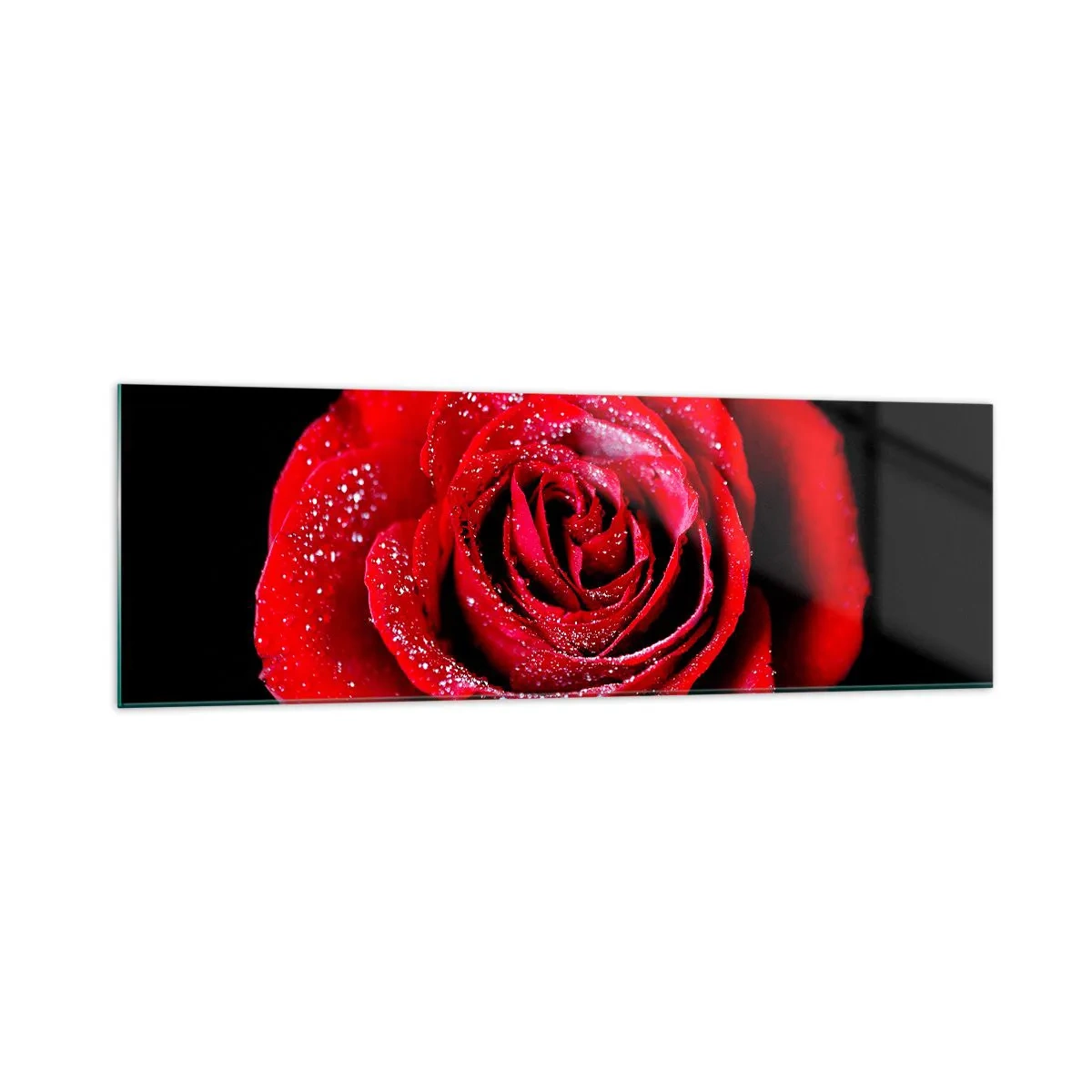 Cuadro sobre vidrio - Impresiones sobre Vidrio - Una rosa roja cubierta de gotas de rocío sobre un fondo negro. - 160x50cm - Eso es el amor - Decoración de pared moderna para salón y dormitorio ARTTOR