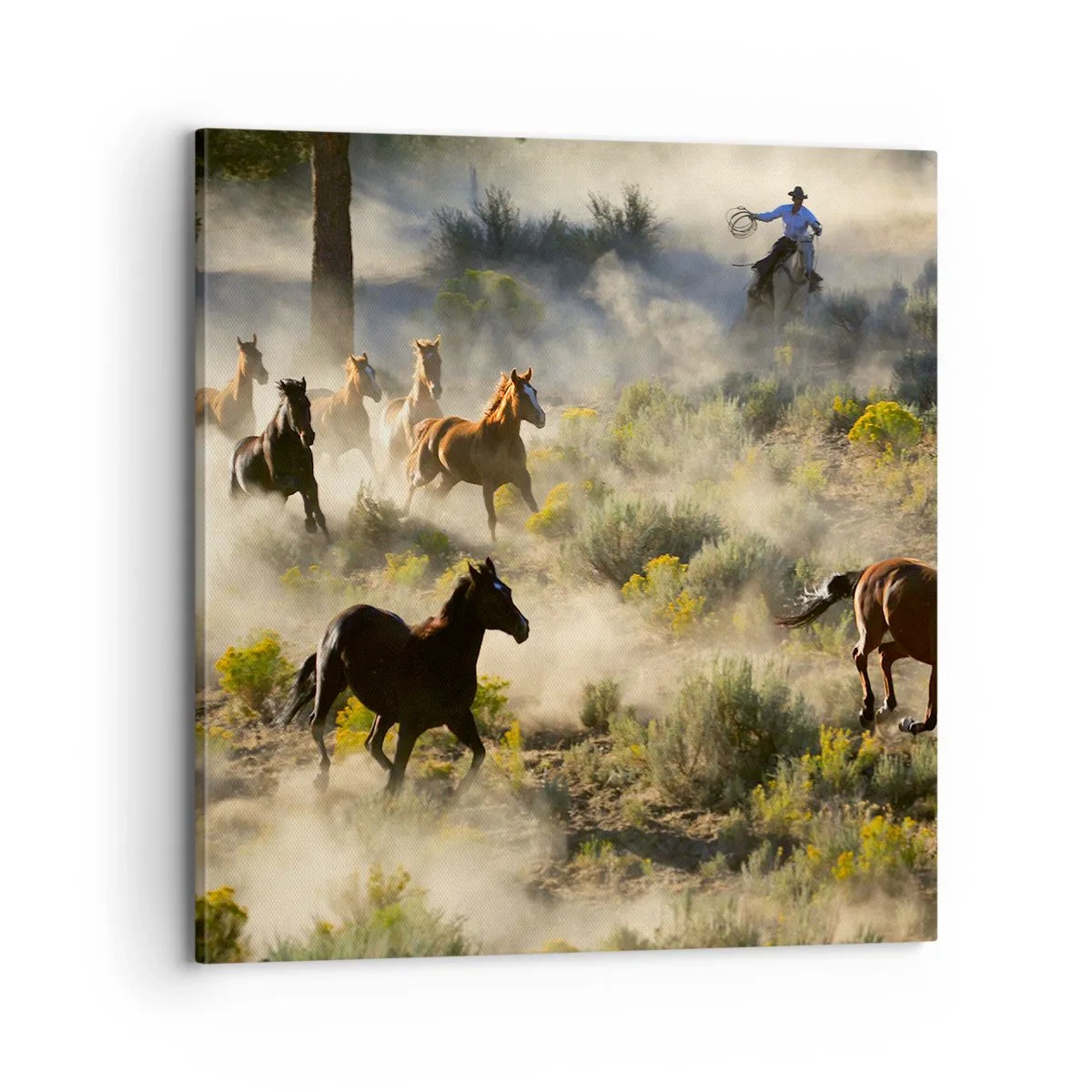 Cuadro sobre lienzo - Impresión de Imagen - Rivalidad: ¿libertad o fuerza? - 70x70 cm