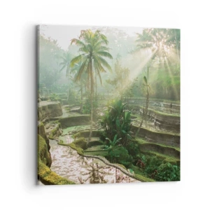 Cuadro sobre lienzo - Impresión de Imagen - Crecer bajo el sol - 70x70 cm