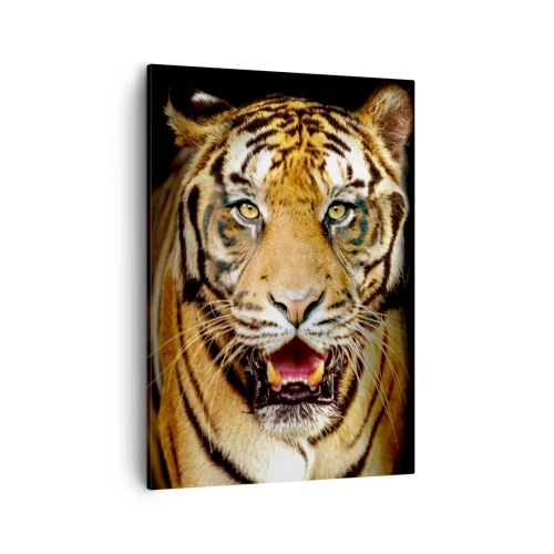Cuadro sobre lienzo - Impresión de Imagen - Un tigre con la boca abierta sobre un fondo negro. - 50x70cm - Salvaje de corazón - Decoración de pared moderna para salón y dormitorio ARTTOR