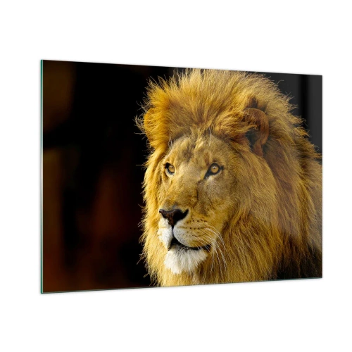 Cuadro sobre vidrio - Impresiones sobre Vidrio - Retrato de un león majestuoso sobre un fondo oscuro - 100x70cm - Retrato de un rey - Decoración de pared moderna para salón y dormitorio ARTTOR