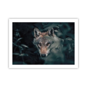 Póster - Cazador - 70x50 cm