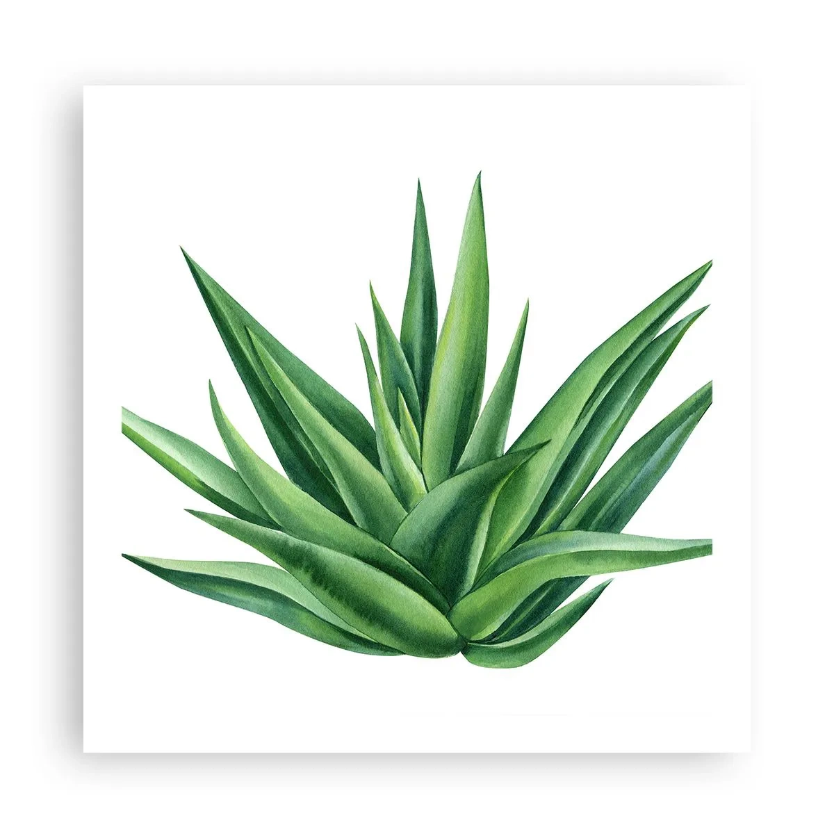 Póster - Verde - fuerza - vida - 60x60 cm
