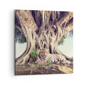 Cuadro sobre lienzo - Impresión de Imagen - Una visión desde el Génesis - 50x50 cm