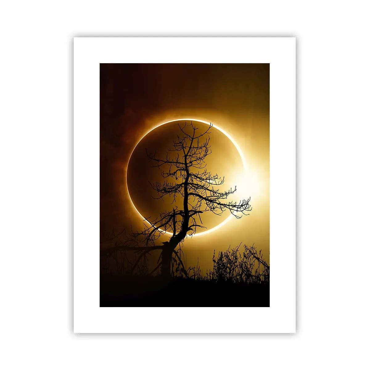 Póster - Eclipse total - 30x40 cm