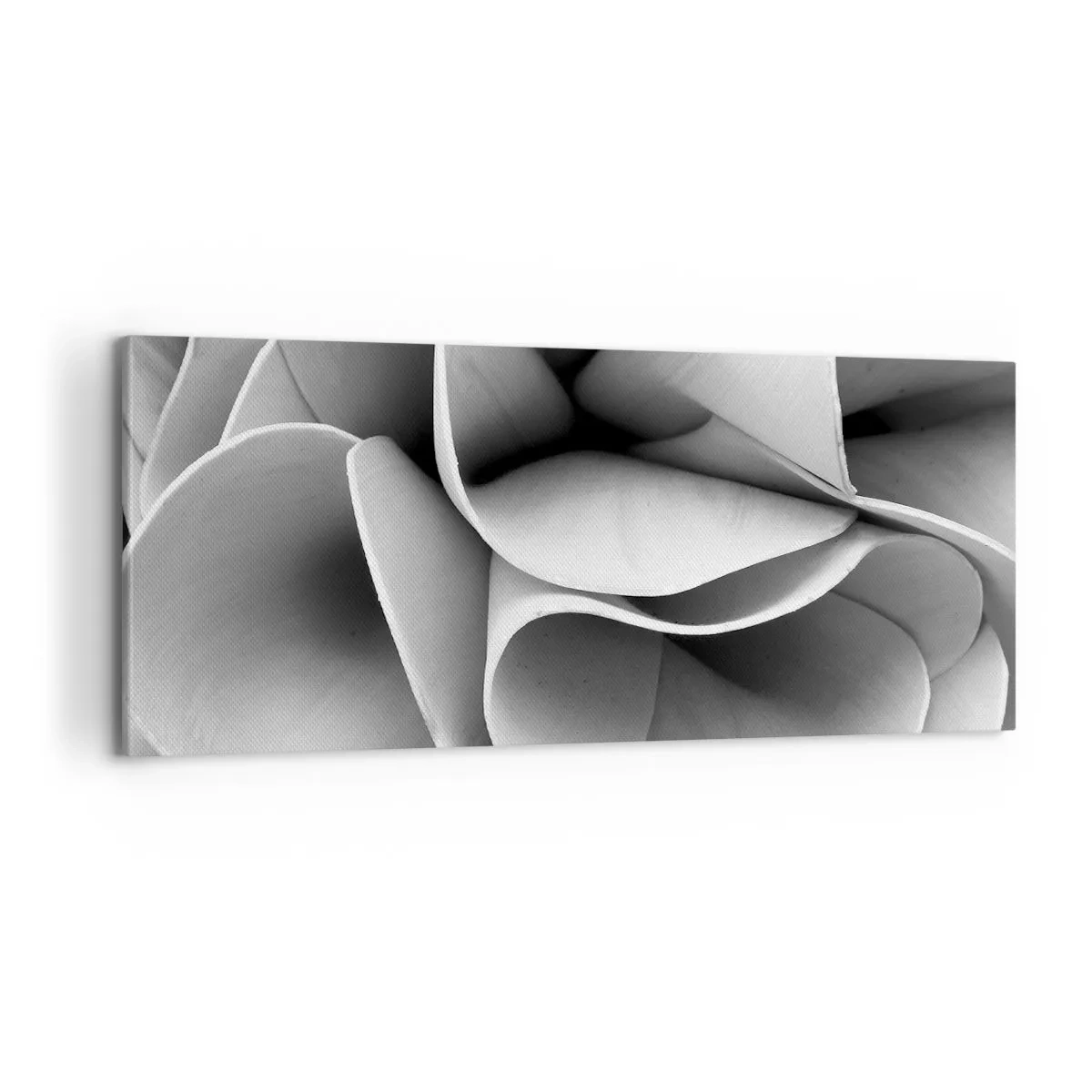 Cuadro sobre lienzo - Impresión de Imagen - Sucede en el espacio - 100x40 cm
