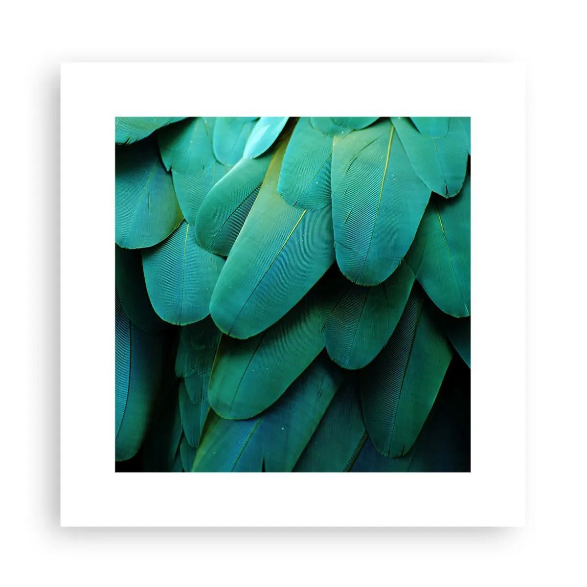 Póster - La precisión de la naturaleza  - 30x30 cm