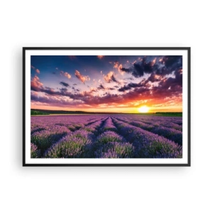 Póster en marco negro - Un campo de lavanda al atardecer con un cielo colorido. - 100x70cm - El mundo de la lavanda - Decoración de pared moderna para salón y dormitorio ARTTOR