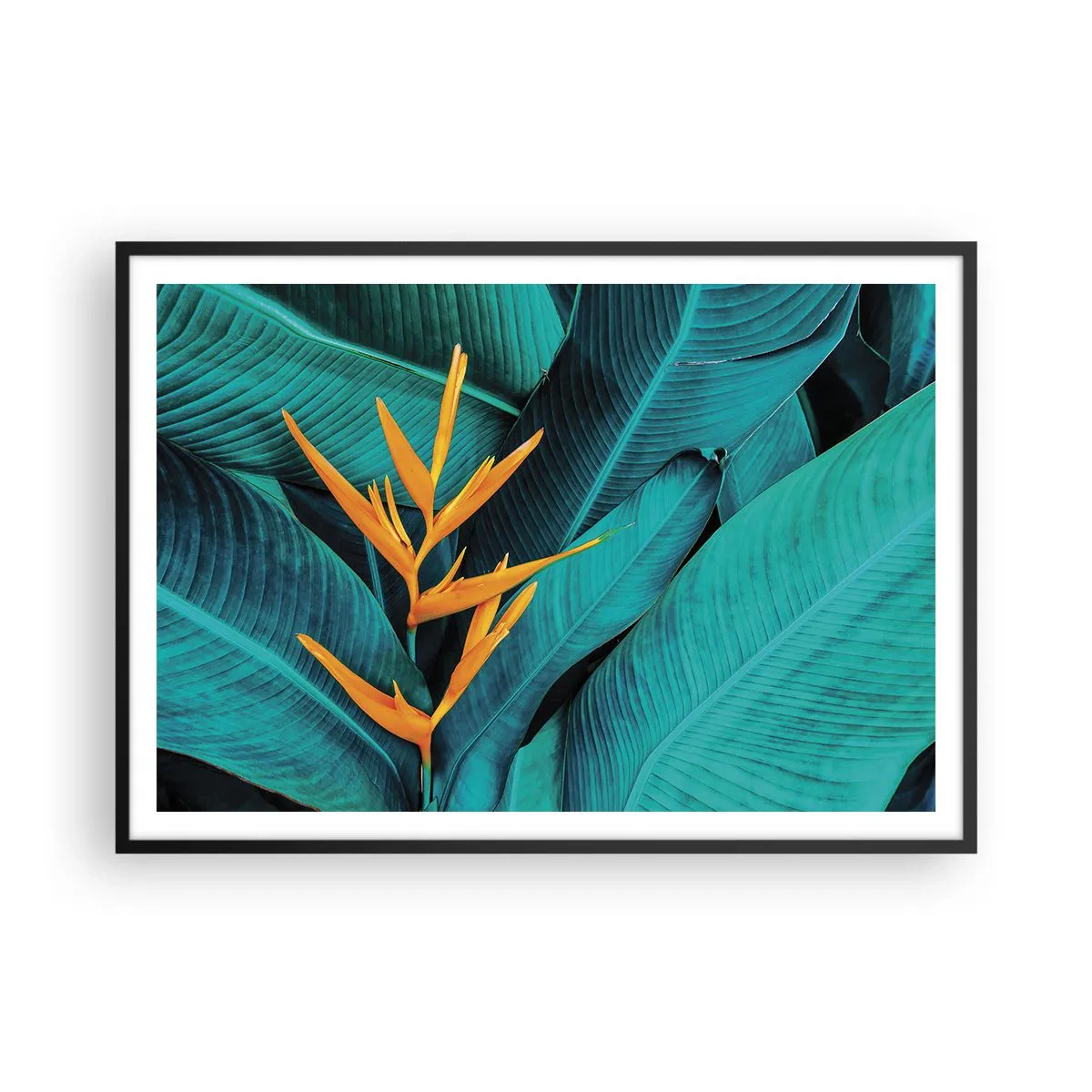 Póster en marco negro - Una flor exótica sobre un fondo de hojas de plátano en tonos turquesas. - 100x70cm - Flor del Edén - Decoración de pared moderna para salón y dormitorio ARTTOR