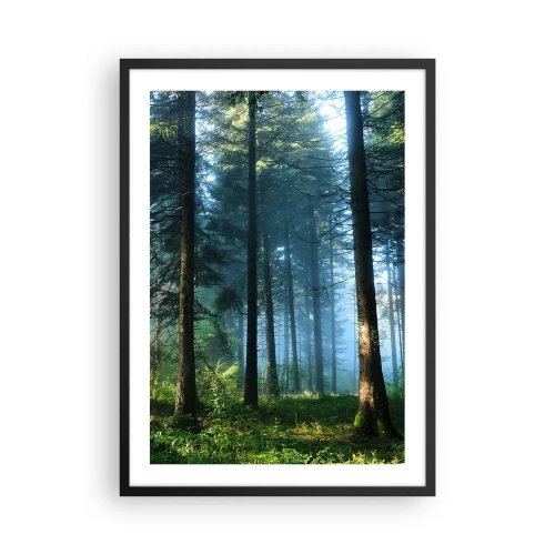 Póster en marco negro - Bosque de coníferas bajo el sol de la mañana y una ligera niebla. - 50x70cm - Radiante por la mañana - Decoración de pared moderna para salón y dormitorio ARTTOR