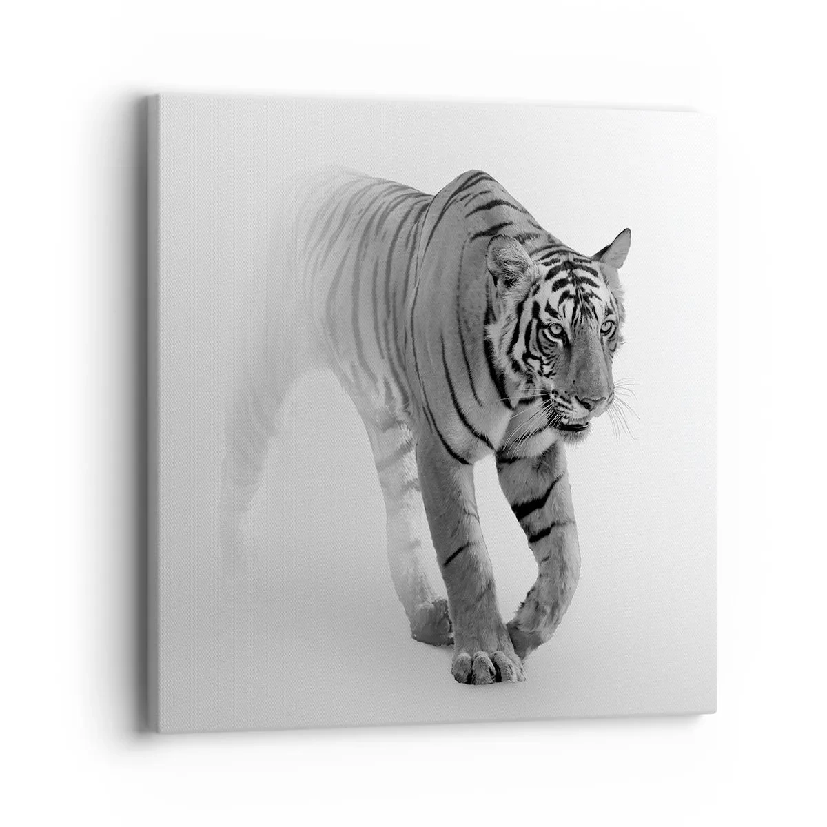 Cuadro sobre lienzo - Impresión de Imagen - Siempre alerta entre la niebla - 40x40 cm