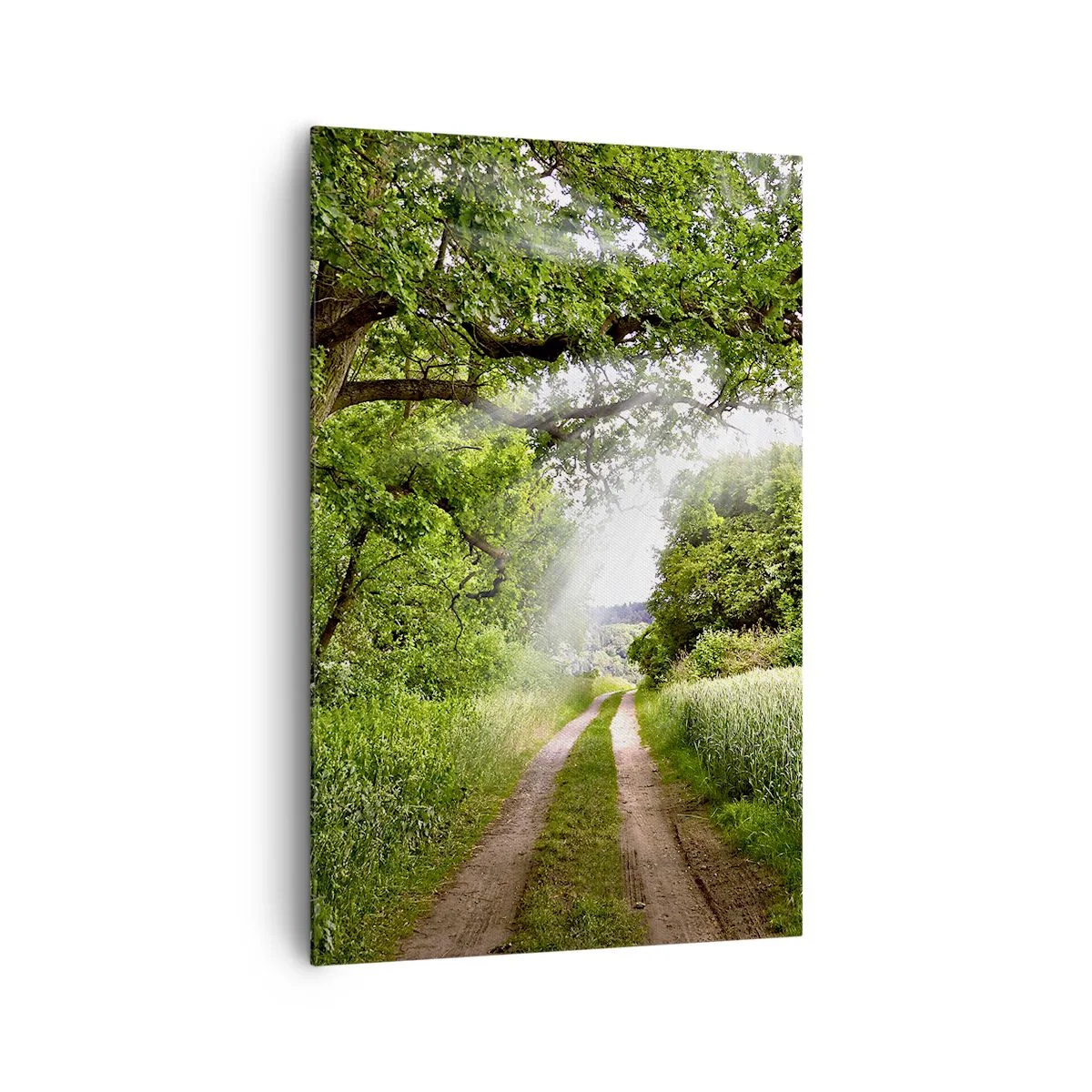 Cuadro sobre lienzo - Impresión de Imagen - Un camino de tierra entre árboles verdes y luz solar. - 80x120cm - Ensueño - Decoración de pared moderna para salón y dormitorio ARTTOR