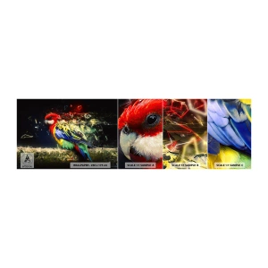 Muestra de fotomural autoadhesivo Deluxe Sticker - Un mensajero del glamour - Abstracción, Loro, Pájaro - 100x30 cm